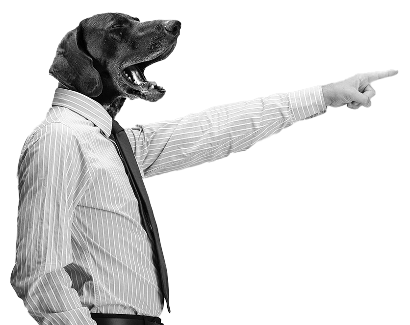 Growth-iQ-Boss-Dog-isolated